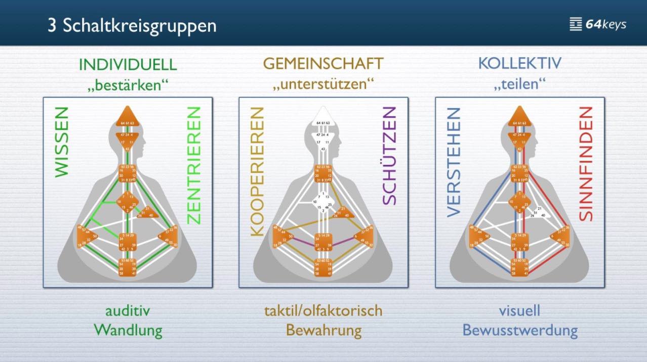 Die 7 Human Design Schaltkreise - Übersicht