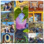 Monatliche HerzDenkerInnen & 5D-Movement Treffen in Wien