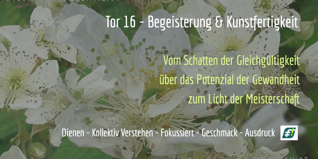 GeneKey Tor 16 - Begeisterung / Identifikation