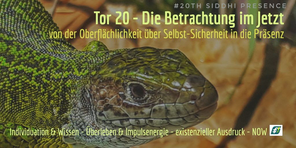 Human Design - Tor 20 - Gegenwärtigkeit