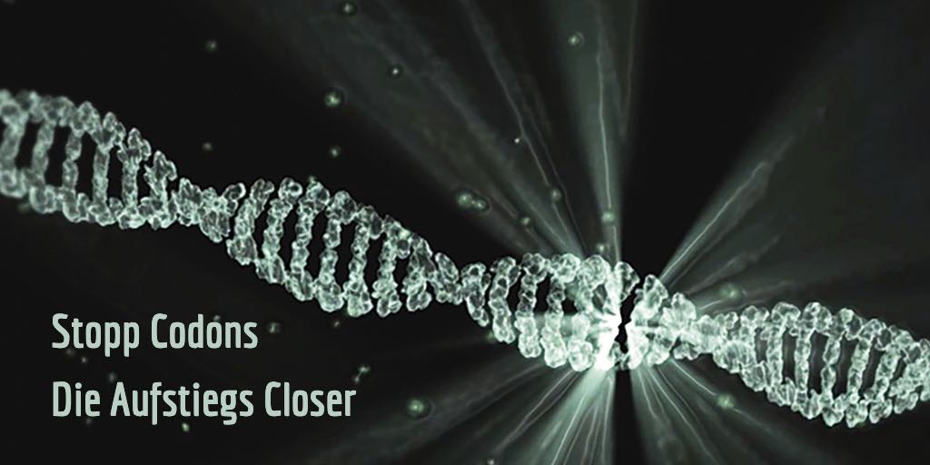Gene Keys - The Ring of Trial - Die Stopp Codons