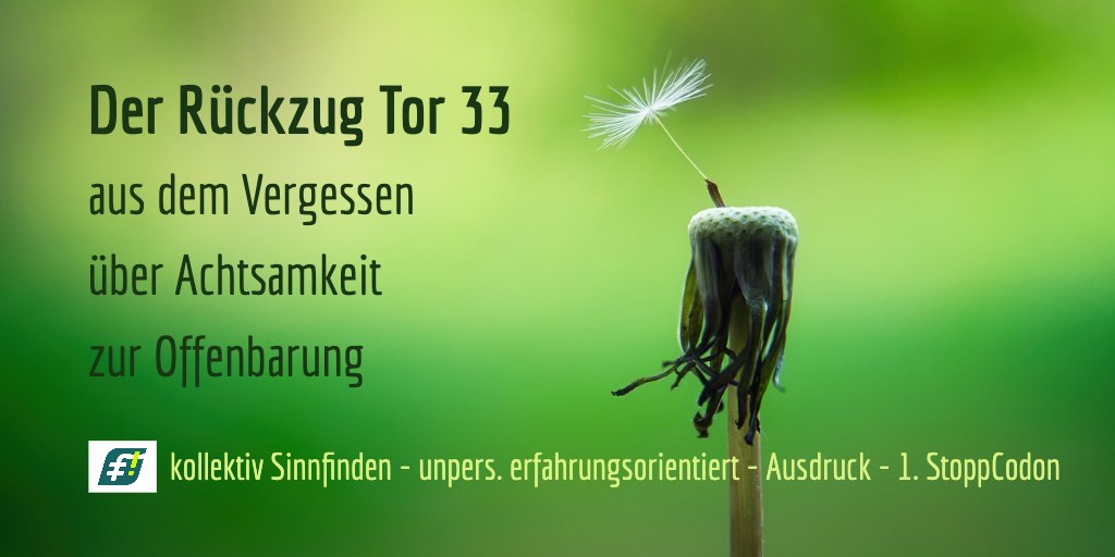 Human Du Sein - Tor 33 - Rückzug