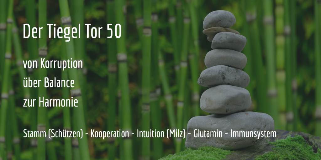 Human Design Tor 50 - Werte