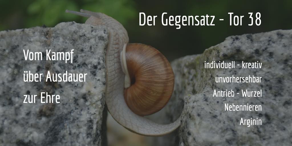 Human Design Tor 38 - Beharrlichkeit