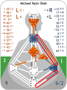 Human Design - Der Strom des Fühlens - Michael-Rajiv Shah
